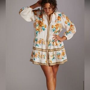 Anthropologie panel print mini shirt dress